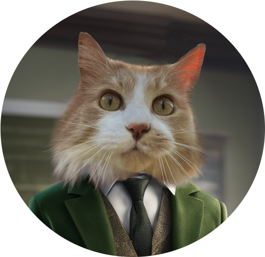 Ben, orange-and-white cat in a green blazer and tie