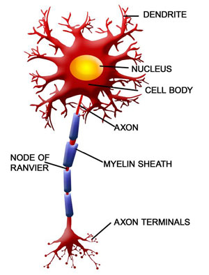 axion